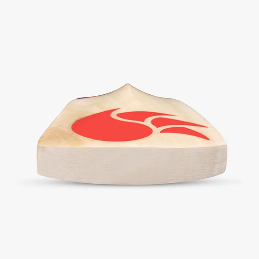 DSC KW Roar Hunter Cricket Bat