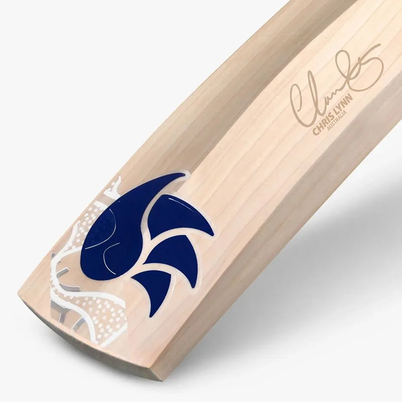 DSC Player Edition Chris Lynn Cricket Bat