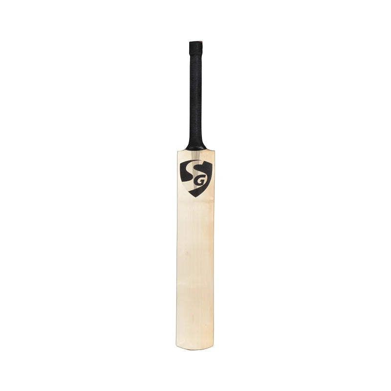 SG Sai Sudharsan Players Bat