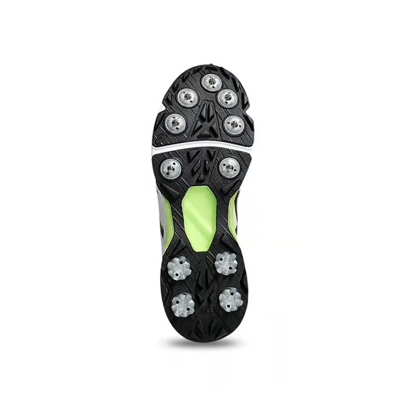 Asics spikes 350 Not Out FF Cricket Shoes