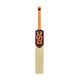 DSC Intense Passion Cricket Bat