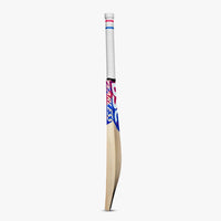 DSC Intense Shoc Cricket Bat