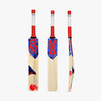 DSC KW Roar Hunter Cricket Bat