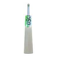 DSC Player Edition Split Cricket Bat