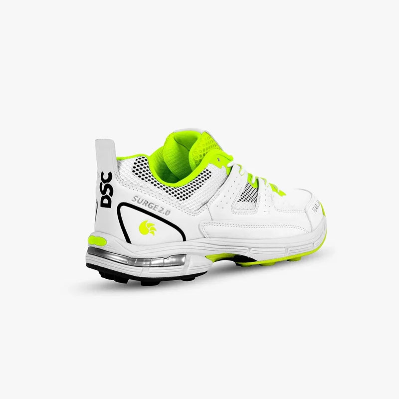 DSC Spikes Surge 2.0 Cricket Shoes