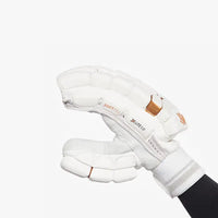 Dsc Batting Gloves Xlite 1.0