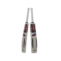 SS Master 2000 Cricket Bat