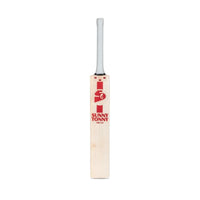 SG ARC 4.0 Cricket Bat