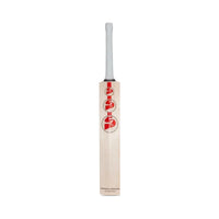 SG ARC 4.0 Cricket Bat