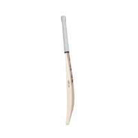 SG ARC 4.0 Cricket Bat
