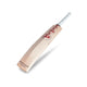 SG Arc 1.0 Cricket Bat