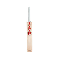 SG Arc 1.0 Cricket Bat