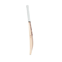 SG Arc 1.0 Cricket Bat