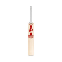 SG Arc 3.0 Cricket Bat