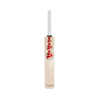 SG Arc 3.0 Cricket Bat