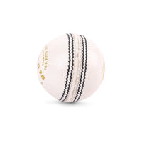 SG Cricket Ball Shield White 20
