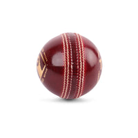 SG Cricket Ball Test Red