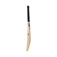 SG Sai Sudharsan Players Bat