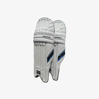 SS Batting Pads Dragon