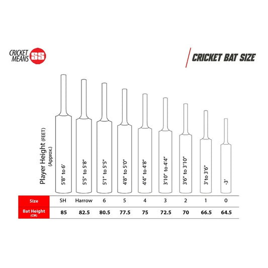 SS GG Smacker Cricket Bat