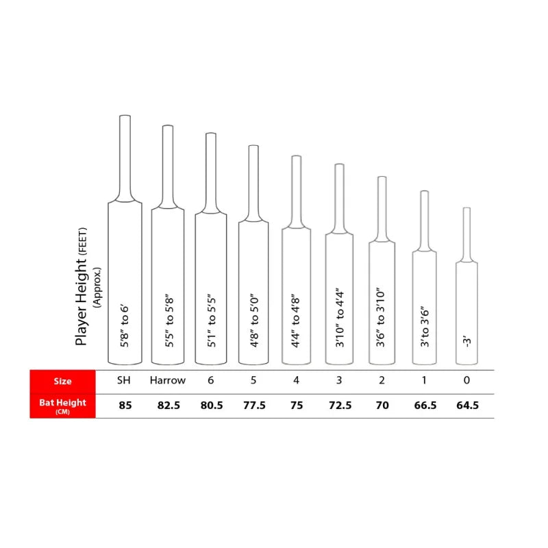 SS Ton Reserve Edition Cricket Bat