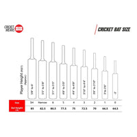 SS Ton Gutsy Cricket Bat