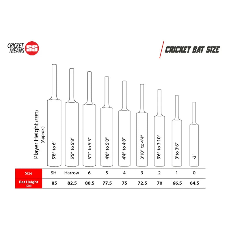 SS Wave Cricket Bat